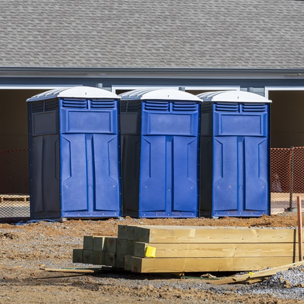 do you offer wheelchair accessible porta potties for rent in St George MN